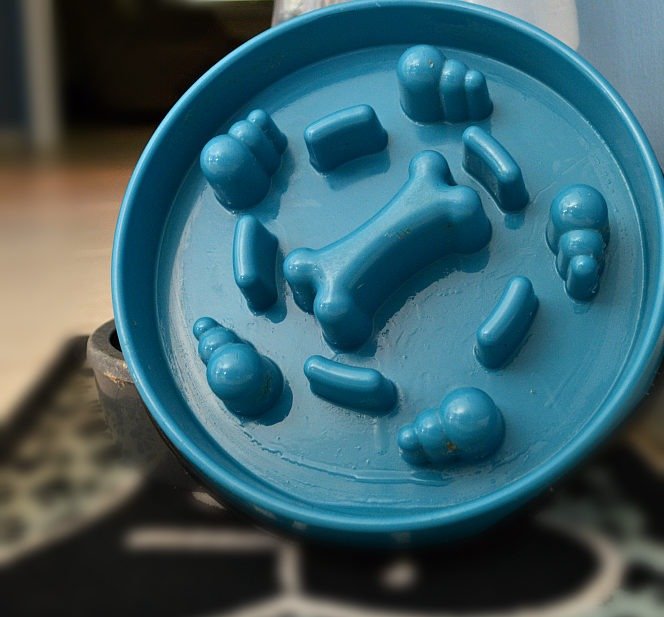 The bowl that can save your dog’s life