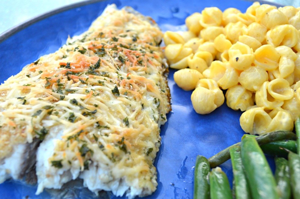 Baked Parmesan Encrusted Red Fish
