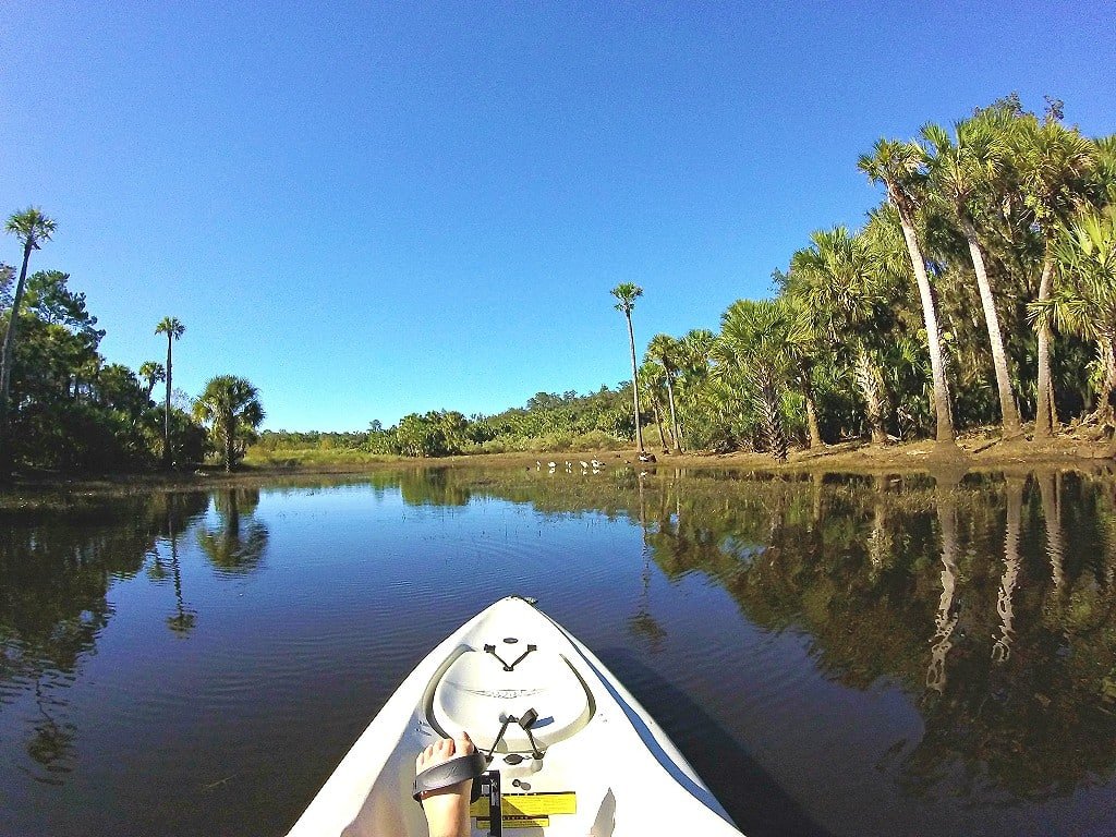 Central Florida kayak adventure at the Little Big Econ River | theMRSingLink