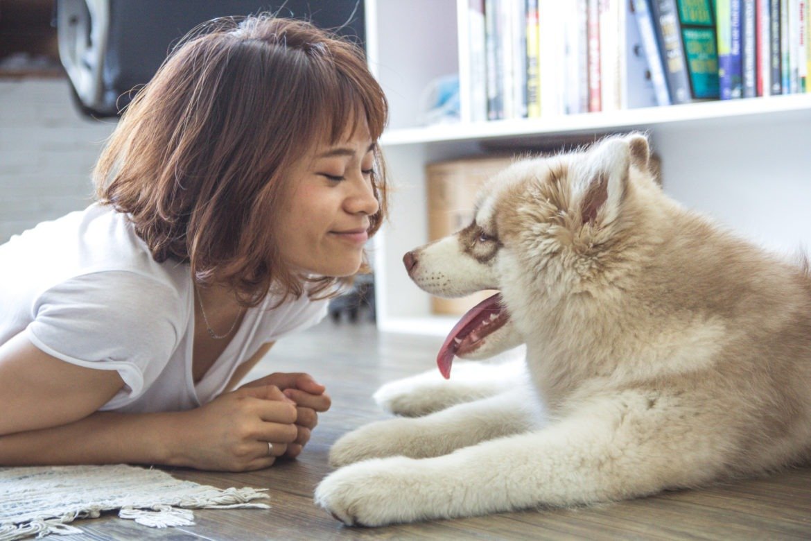 Stop using toxic chemicals in your home – sincerely, a concerned dog mom