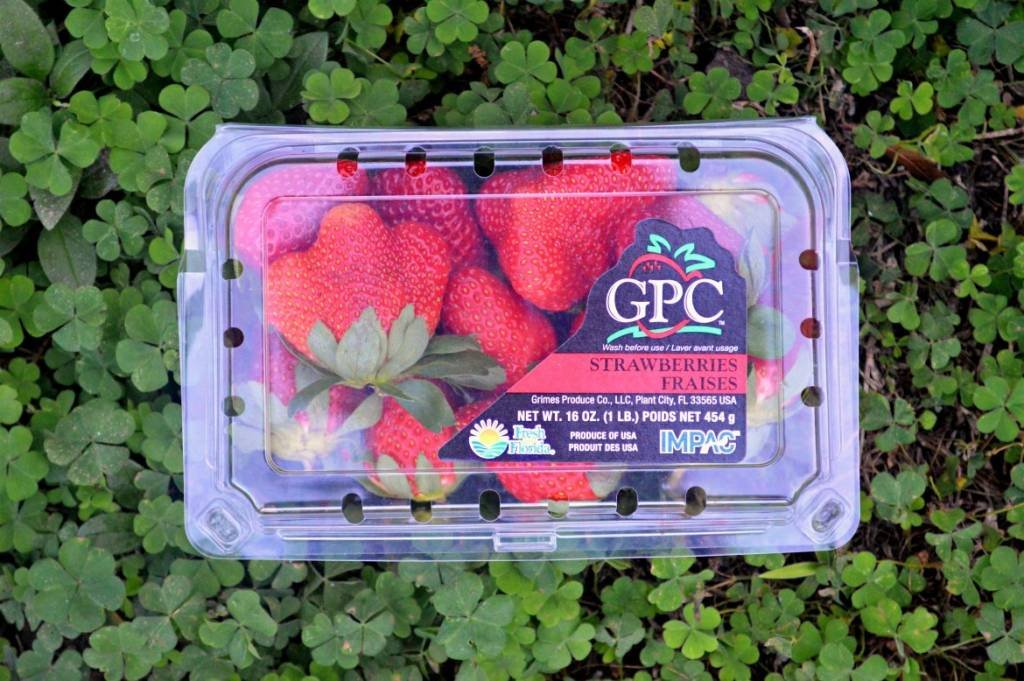 3 Reasons I Follow The Fresh Produce Movement | #ad Fresh From Florida | #IC #followthefresh | Local Florida Farms | Fresh healthy recipes | Recipes using local produce | In season recipes | Why you should support your local farmers | Delicious recipes using local farm produce | theMRSingLink