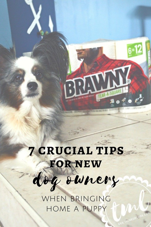 New puppy and it's your first time? 7 Crucial Tips For New Dog Owners | #ad #TearASquare #Brawny #TargetFinds | Tips for bringing a new puppy home | Adjusting to life with a new puppy | New dog owners - 7 things you need to know | theMRSingLink