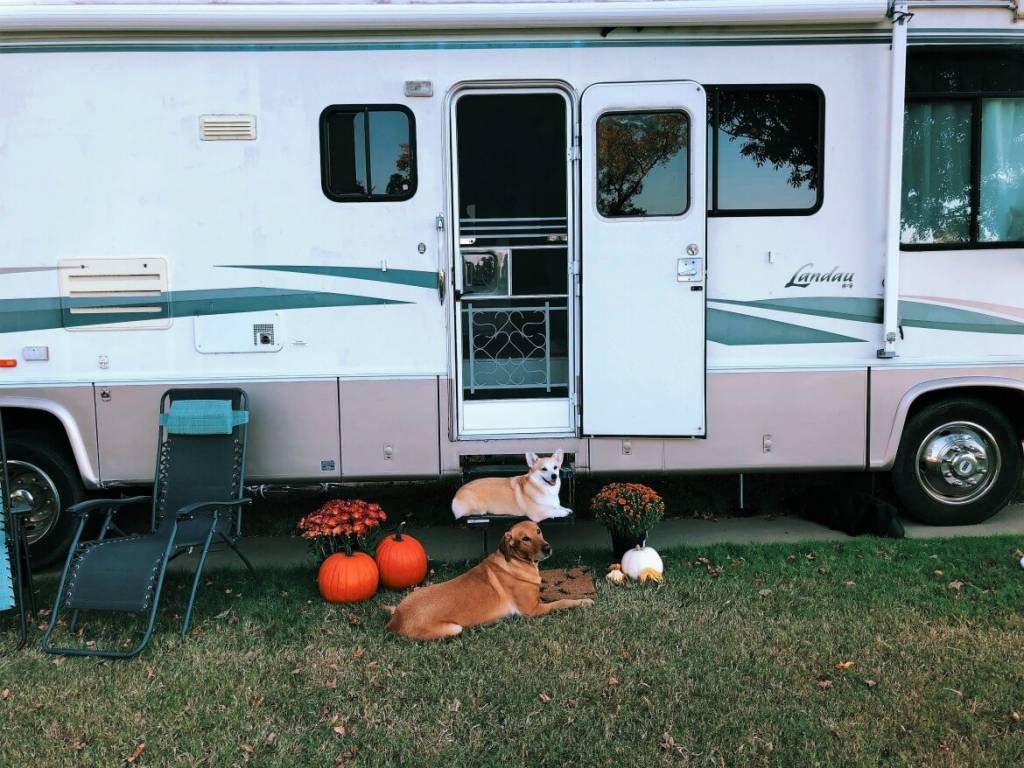 6 Tips When Traveling With Your Dogs | Travel tips for pet owners traveling with their dogs | When you're on the road with your pets, here are the best tips when traveling with your furbaby | Tips for dog owners | #dogs #traveltips | theMRSingLink