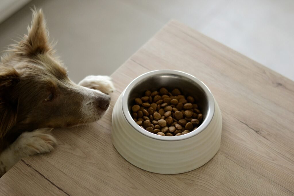 "'Scuse me? Where can I find dental dog treats without all the BS, like citric acid, glycerin, animal by-products, and processed sugar." Oh, you were wondering that, too, huh? No worries, I came up with my own dental treat recipe you can feel good about giving your dog.