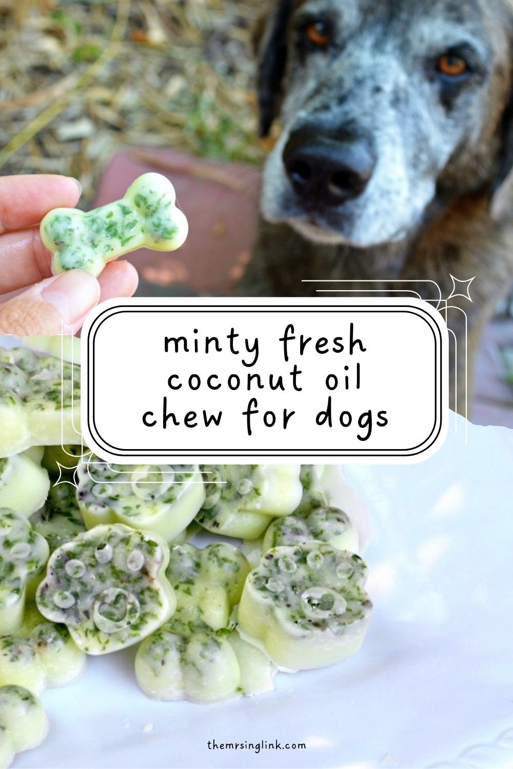 Stinky dog breath? A treat recipe for their oral health you can feel good about | If brushing your dog's teeth daily just isn't in the cards for you or you just want to offer your pup something to help freshen that rank stank...I came up with an easier way to not only keep both of my dog's breath fresh but promote overall oral and gum health.