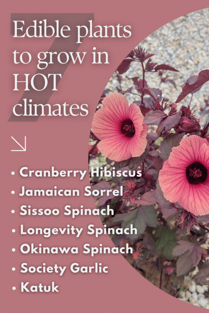 Did you know there are edible plants that thrive in the heat and are super easy to propagate? 7 Edible perennials to grow in hot climates | #perennials #edibleplants #gardening #zone9b