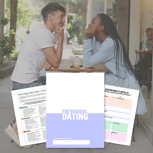 The Dating Manual | theMRSingLink