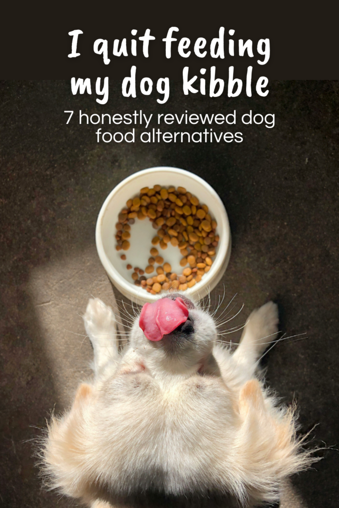 Over the last few years we have traveled quite a bit - with our dogs! It actually saves us more money to bring them along (rather than boarding them), and as for me - I'm rest assured that they are going to be taken care of. This means there are necessary pet travel essentials I make sure to bring along with me each time we plan and take a trip.