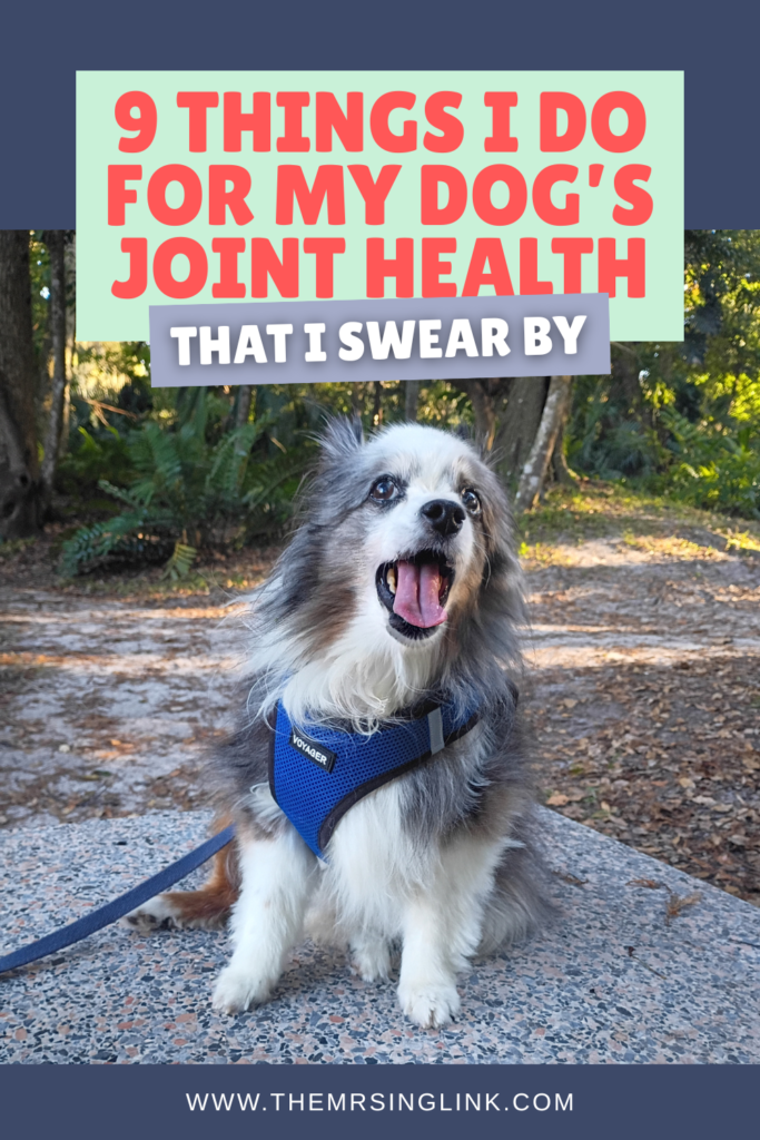 My dog's joint health matters, and for many pets, being proactive about your dog's joints starts earlier in their life than you'd expect. And these are the things that work for my senior dog's mobility.