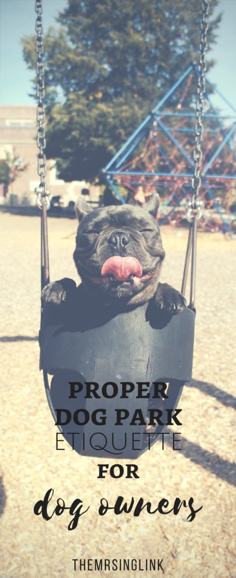 Proper Dog Park Etiquette For Dog Owners | Dog Park Behaviors For Both Dogs And Dog Owners | What To Do And What Not To Do | Dog Park Rules | #dogmom #dogowner #dogparketiquette #petetiquette | theMRSingLink