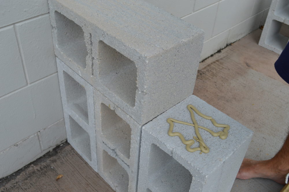 Simple DIY Cinder Block Outdoor Bench Under $100 | DIY Projects | DIY Home Decor | DIY Outdoor Decor | DIY Home Improvements | DIY Bench | theMRSingLink