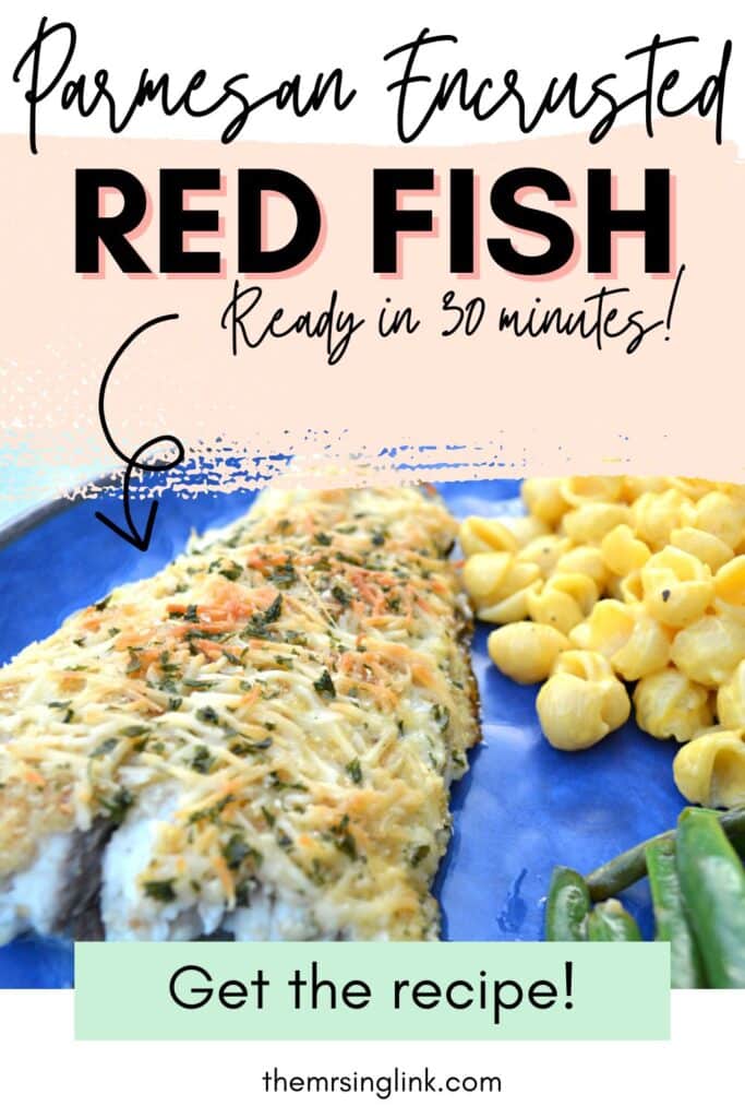 Baked Parmesan Encrusted Red Fish | Ready in 30 minutes!
