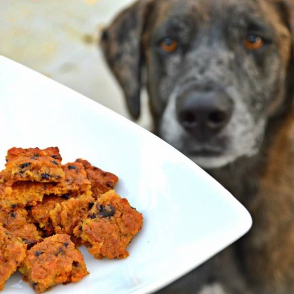 Pup Approved Carrot Apple Natural Baked Dog Treats | Homemade dog treats | Dog treat recipes | Peanut butter dog treats | All natural baked dog biscuits | theMRSingLink
