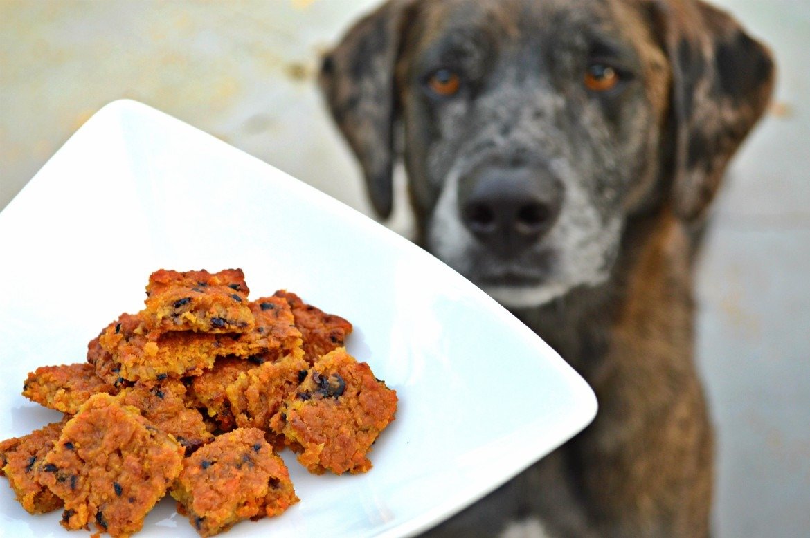 apple carrot dog biscuits