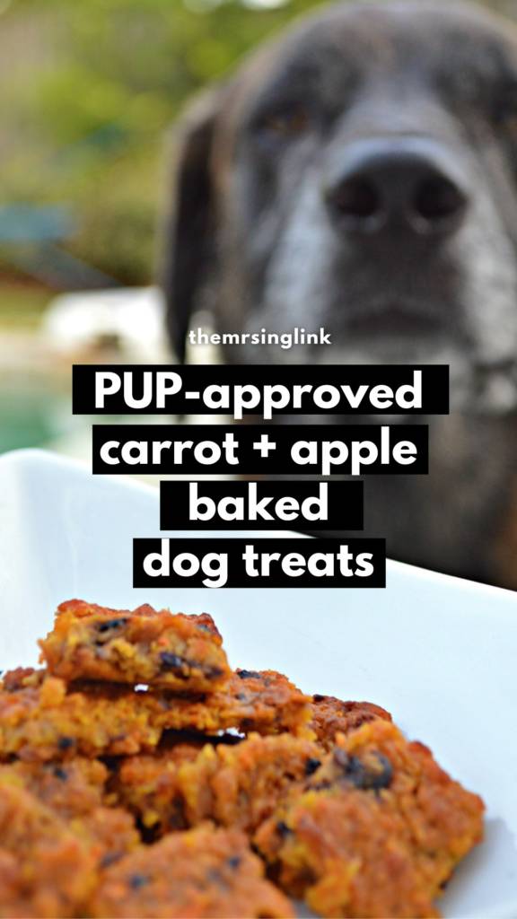 Dog-approved carrot and apple baked treats | Homemade treats for your furbaby | DIY dog treats with simple ingredients #dogtreats #dogmom #petrecipes