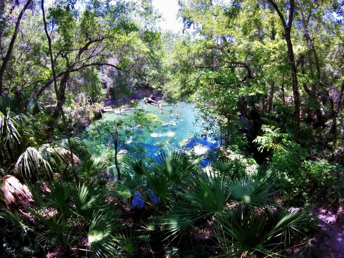 Snorkeling The Florida Blue Springs State Park | Florida Springs | Things To Do In Florida | Summer Outdoor Activities | Summer Swimming Activities | State Park Travel | theMRSingLink