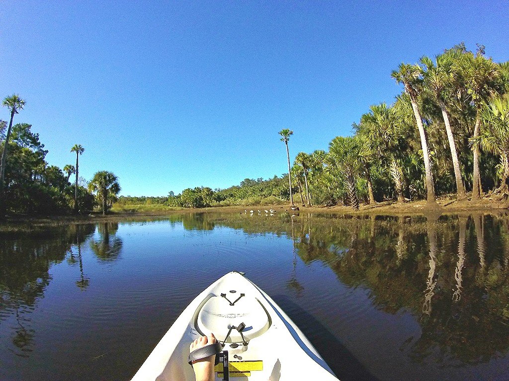 Central Florida kayak adventure at the Little Big Econ River | theMRSingLink