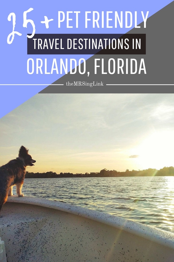 25+ Pet Friendly Travel Destinations In Orlando Florida | Dog friendly places to go in Orlando Florida | Florida travel destinations where you can bring your furbaby | Hotels to stay, places to eat and things to do for dog moms who love to travel with their pet | #petfriendly #bringfido #florida #travel | theMRSingLink