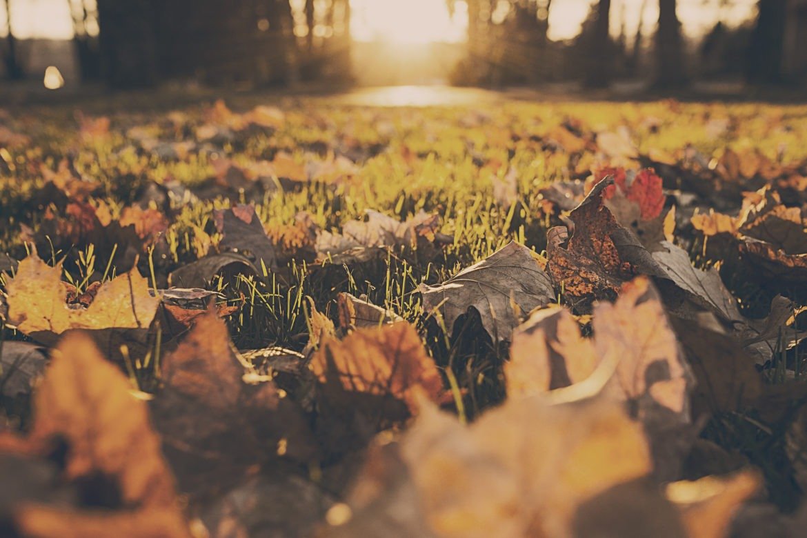 How To Get Your Marriage Out Of A Rut [When It’s Stuck In The Fall Season]