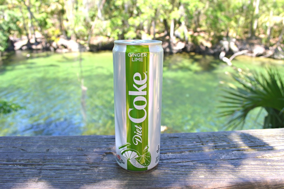 9 Adventure Hot Spots In Central Florida [My Lifestyle Beyond The Blog] | #ad @dietcoke | Florida Travel | Outdoor hot spots in Central Florida | Outdoor adventures in Florida | Best travel ideas in Florida | Outdoor adventures in Orlando Florida | #FloridaTravel #outdooradventures #BecauseICan #ThirstyForMore | theMRSingLink