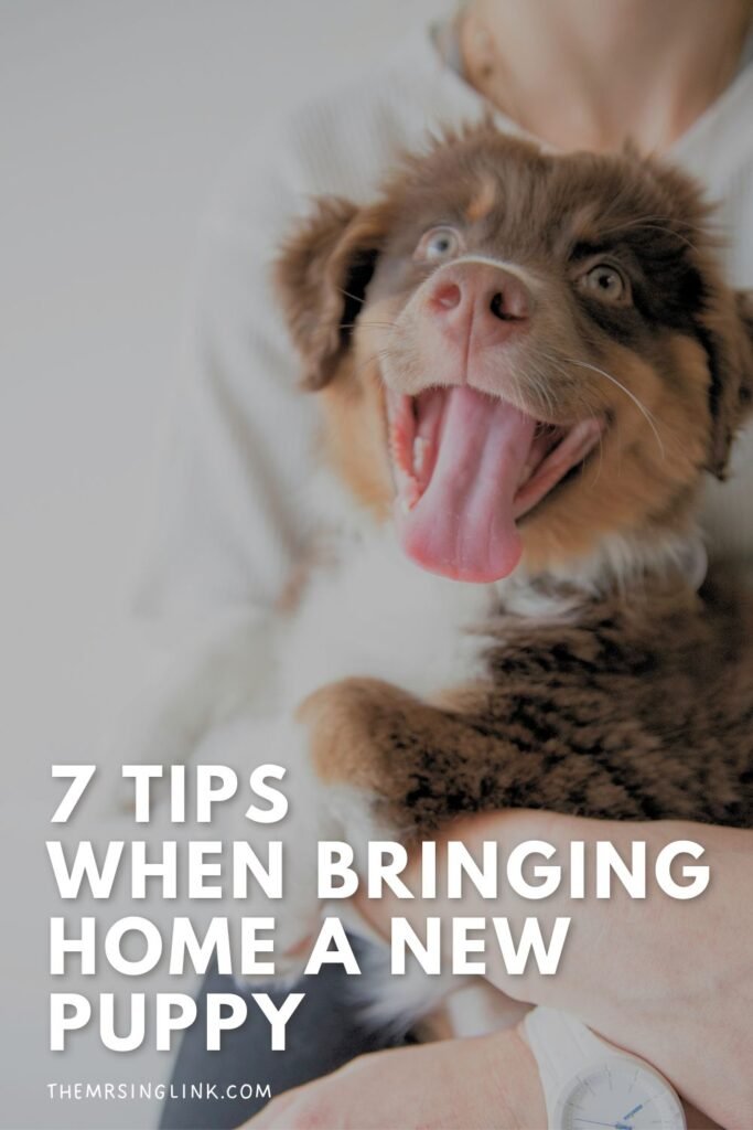 7 Tips when bringing home a new puppy | Sponsored | New puppy, and its your first time as a dog owner? These crucial tips are for you! #dogowner #newpuppy #puppytips