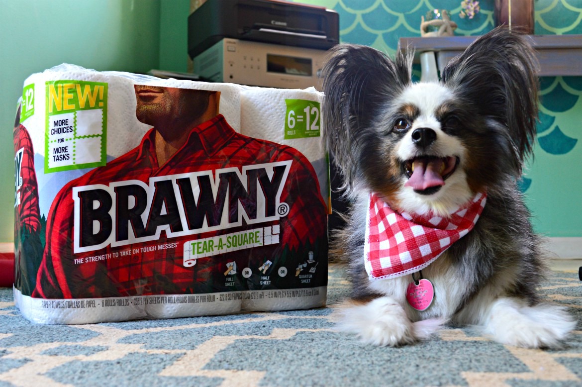 7 Crucial Tips For New Dog Owners When Bringing A Puppy Home | #ad @#TearASquare #Brawny #TargetFinds | Tips for bringing a new puppy home | Adjusting to life with a new puppy | New dog owners - 7 things you need to know | theMRSingLink
