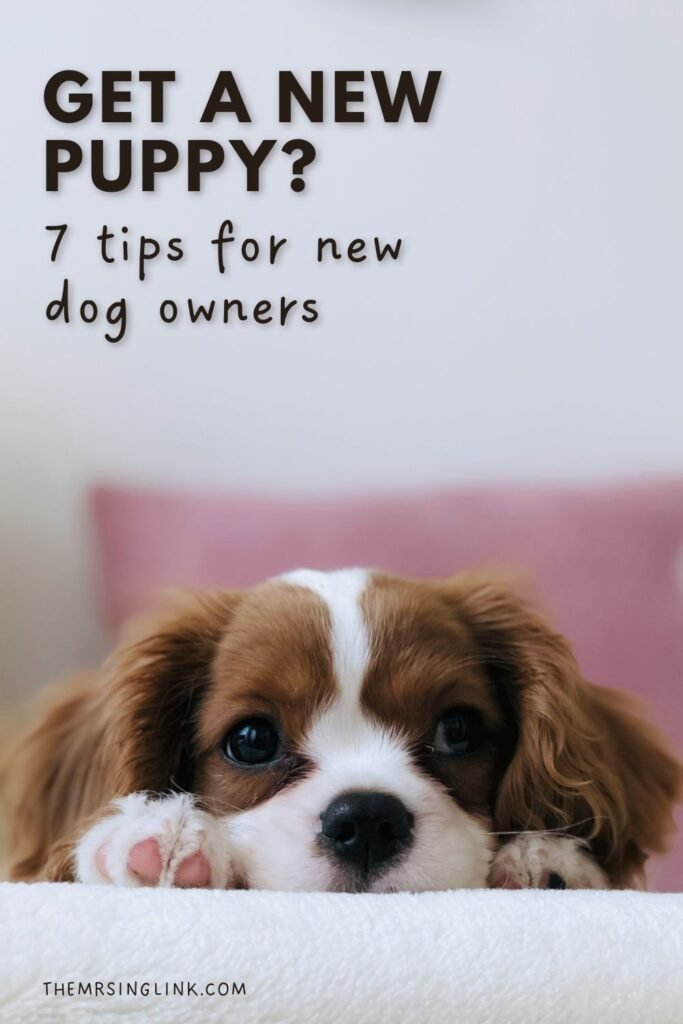 Get a new puppy? 7 Tips for new dog owners | Sponsored | Here's what you need to know when bringing a new dog into the family. #dogmom #dogparent #newpuppy #dogowner