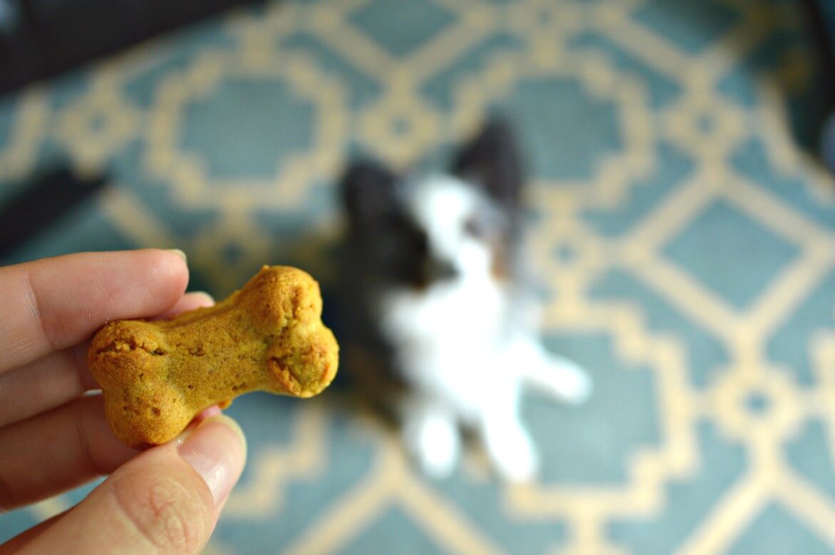 I'm Now One Of THOSE Dog Moms [Homemade Peanut Butter Dog Treats] | How to make your own dog treats from home | Easy recipe for dog treats | Peanut butter dog treats | Healthy dog treats recipes for dog owners | #dogs #treats #homemade #diy #healthy | theMRSingLink