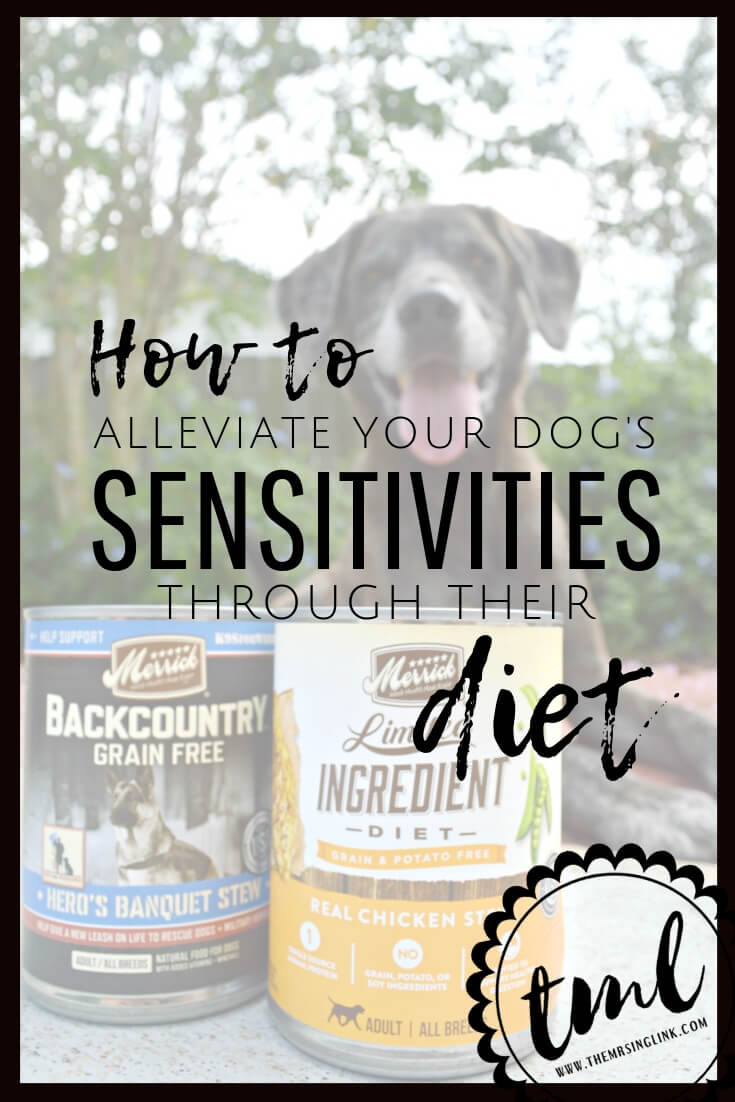 How To Alleviate Your Dog’s Sensitivities [Through Their Diet] | #AD #MerrickPetCare #BestFoodEver | How your dog's food may be contributing to skin and stomach sensitivities | Limited Ingredient diet for your pets - why this is the go-to food for my dog | What dog owners need to know about their pets diet and what they are feeding their pets | #dogowners #petcare #dogmom | theMRSingLink