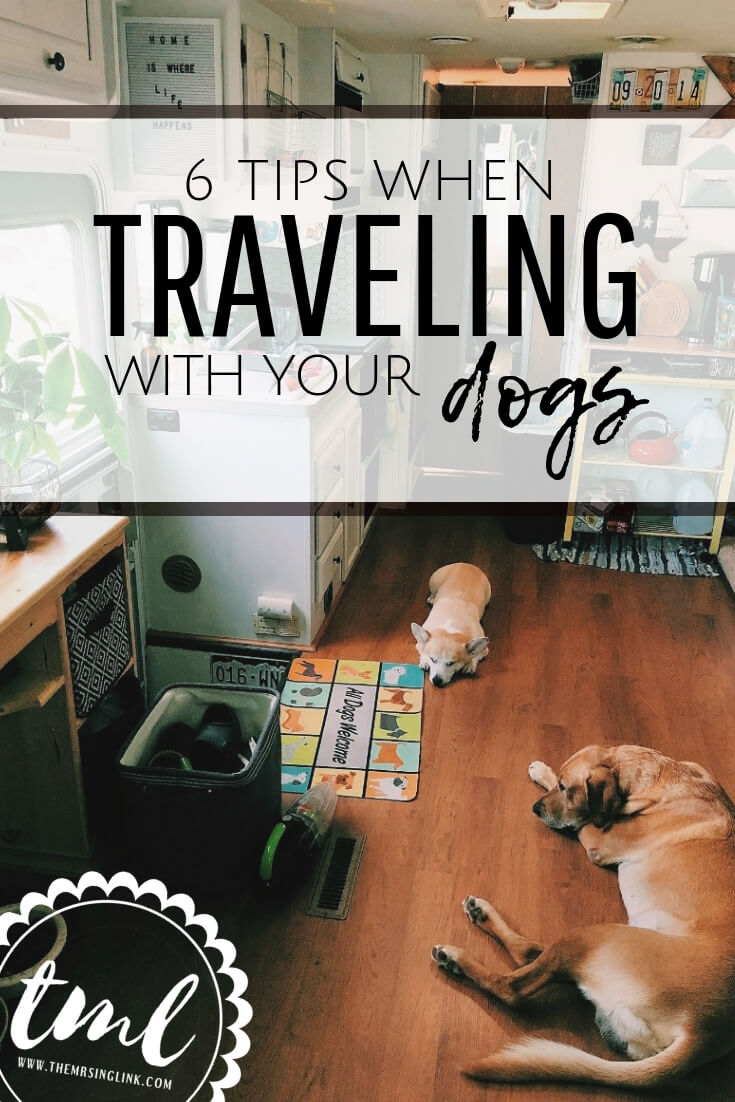 6 Tips When Traveling With Your Dogs | Travel tips for pet owners traveling with their dogs | When you're on the road with your pets, here are the best tips when traveling with your furbaby | Tips for dog owners | #dogs #traveltips | theMRSingLink