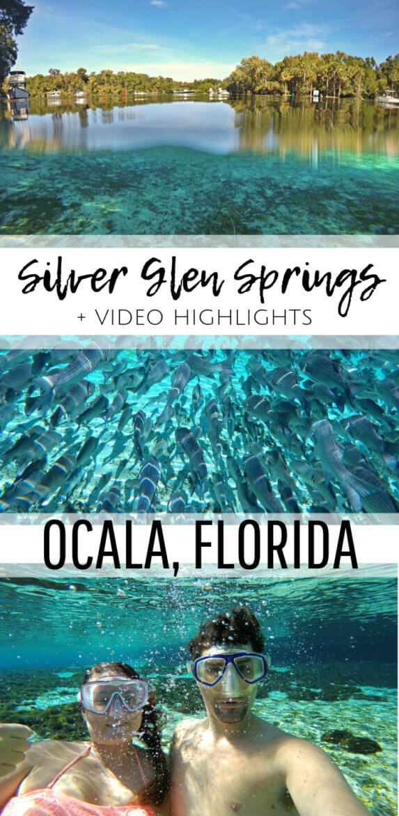 Day Trip To Silver Glen Springs Florida | Spend the day snorkeling Silver Glen Springs in Florida | The best snorkel spots in Florida | Outdoor Florida adventures | The best outdoor hot spots in Florida travelers must see | Summer vacation spots to visit in Florida | Things to do in Florida outside of Disney | #floridatravel #snorkeling #floridasprings #travel | Florida Travel Tips | theMRSingLink