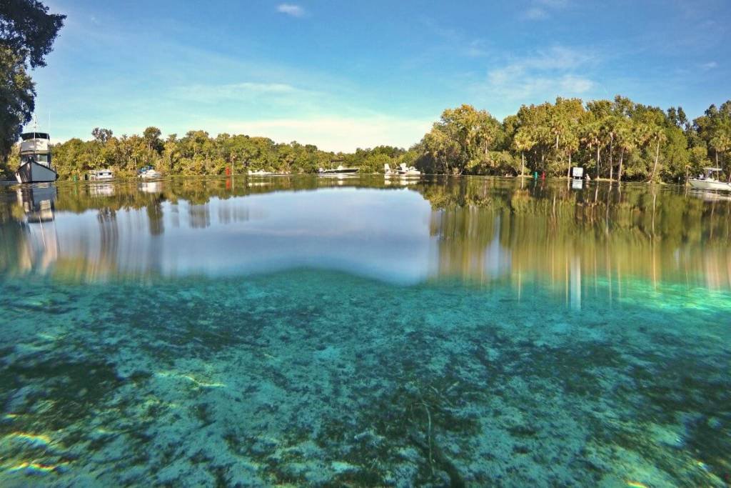 Day Trip To Silver Glen Springs Florida | Spend the day snorkeling Silver Glen Springs in Florida | The best snorkel spots in Florida | Outdoor Florida adventures | The best outdoor hot spots in Florida travelers must see | Summer vacation spots to visit in Florida | Things to do in Florida outside of Disney | #floridatravel #snorkeling #floridasprings #travel | Florida Travel Tips | theMRSingLink