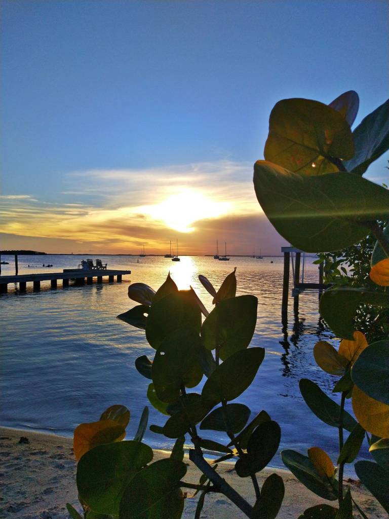 7 Days Of Summer Vibes In Key Largo, Florida | How to spend 7 days in the Florida Keys | Couples who travel | Bring fido to the Florida Keys | Pet friendly in Key Largo | The best of Key Largo - where to stay, things to do, the best eats and beautiful sunsets | #floridakeys #keylargo #bestintravel | theMRSingLink