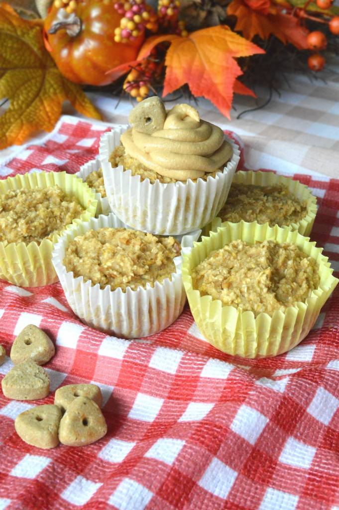Healthy Birthday Cupcake Recipe For Dogs [With Apple + Squash] | If you're looking for a healthy version of a cupcake (or pupcake) for your furbaby, this recipe is only 6 all-natural ingredients and made in under 20 minutes! Celebrate your dog's birthday right - with doggy cupcakes! #cupcakes #dogrecipes #dogmoms | theMRSingLink
