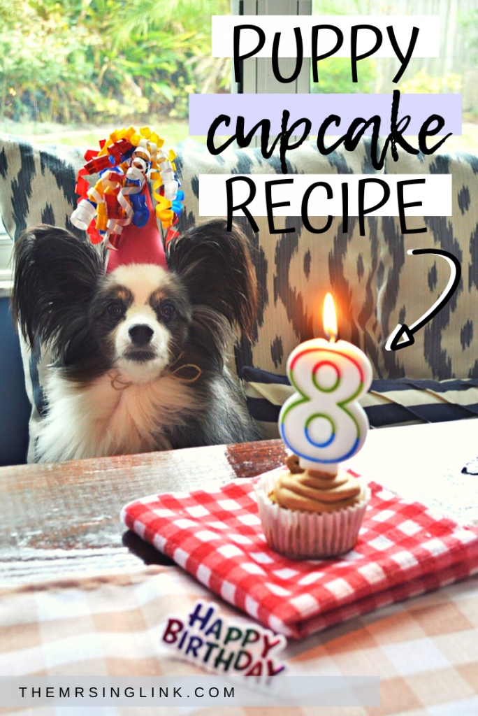 Peanut butter free pup cupcake recipe for dogs [With Apple + Squash] | If you're looking for a healthy version of a cupcake (or pupcake) for your furbaby, this recipe is only 6 all-natural ingredients and made in under 20 minutes! Celebrate your dog's birthday right - with doggy cupcakes! #cupcakes #dogrecipes #dogmoms | theMRSingLink