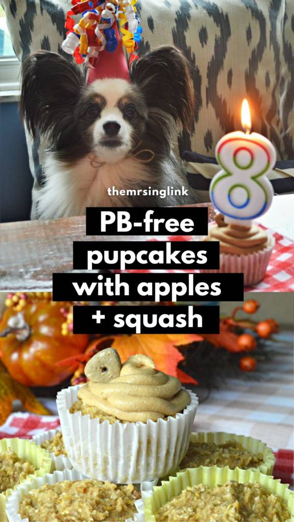Peanut butter free birthday cupcakes for your dog | Homemade treat recipe for your pets | Apple and squash pupcakes | theMRSingLink
