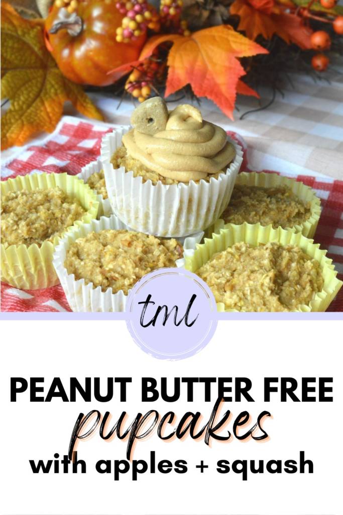 Peanut butter free pupcakes with apples and squash | Birthday cupcakes for your dog | Dog-friendly homemade treat recipes | theMRSingLink