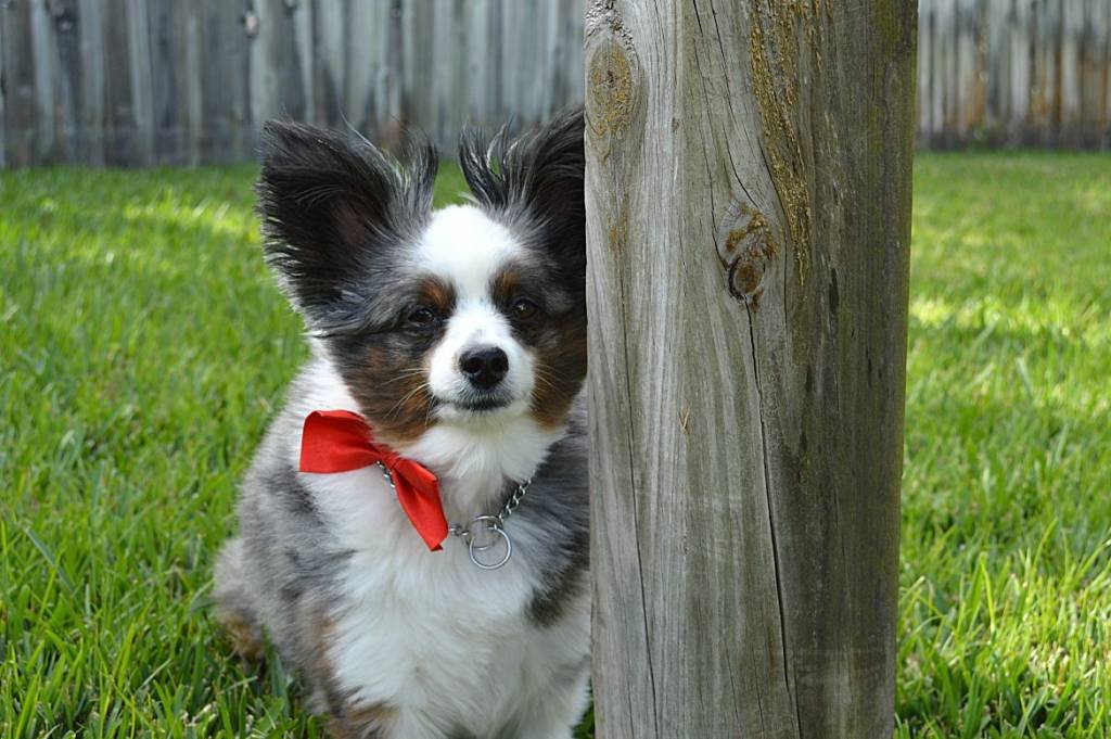 You know what bugs me most about gift guides?