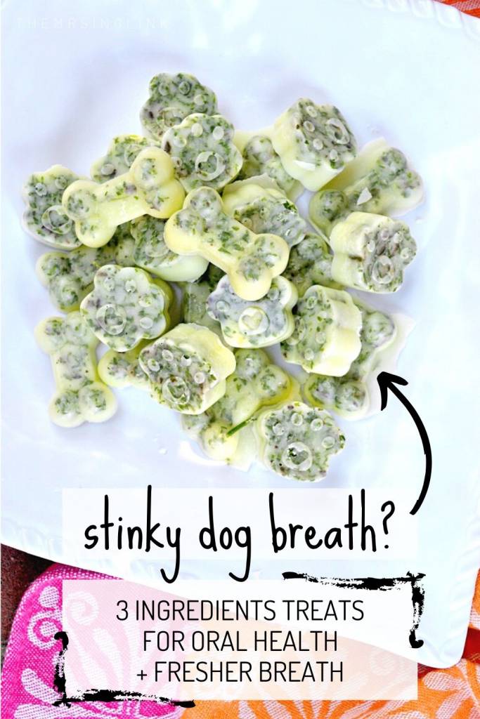 Stinky Dog Breath? A Freshening Treat Recipe You Can Feel Good About | A minty cool chew for your beloved furry companion, made with coconut oil and curly parsley | Oral health is MAJOR in terms of their overall health, and when it comes to committing to brushing our dog's teeth...the struggle is REAL (but more real for them) | #dogmom #petparents #doghealth #dogtreats #diypetrecipe | theMRSingLink