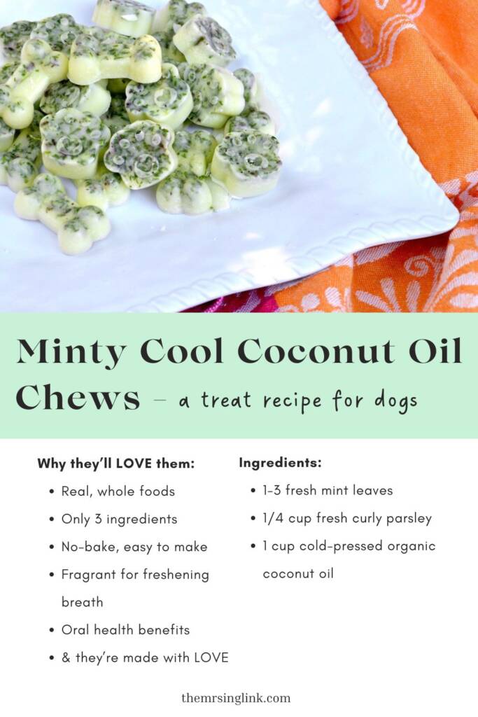 Stinky dog breath? A treat recipe for your dog you can feel good about | Where can I find good dental dog treats without all the BS (like citric acid, GLYCERIN, animal by-products, and processed sugar) and that my dog won't literally swallow whole and choke on to death?" Oh, you were wondering that, too, huh? No worries, I came up with my own treat recipe for dogs.