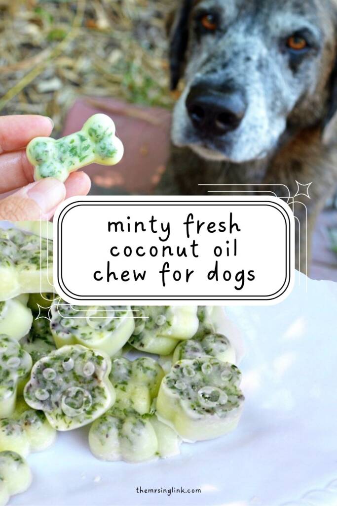 Stinky dog breath? A treat recipe for your dog you can feel good about | If brushing your dog's teeth daily just isn't in the cards for you or you just want to offer your pup something to help freshen that rank stank...I came up with an easier way to not only keep both of my dog's breath fresh but promote overall oral and gum health.