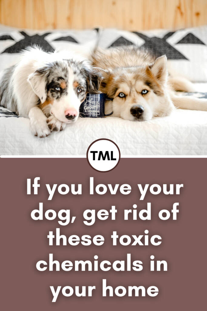 If you love your dog, get rid of these toxic chemicals in your home. Sincerely, a dog mom | #dogmom #cleanliving #nontoxic | Some of the stuff you use, that is not only considered unsafe for your pet, is also unhealthy for Y O U. And if you're wondering, yes, I've crossed over to that very side - the crunchy side. After 10 years in the Vet industry, there's A L O T I've learned and taken away as a dog mom, much of which goes against the polished mainstream in the pet industry. 