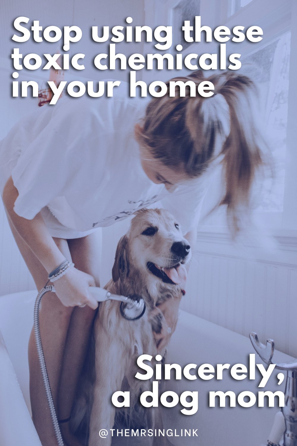 Stop using toxic chemicals in your home sincerely, a concerned dog mom