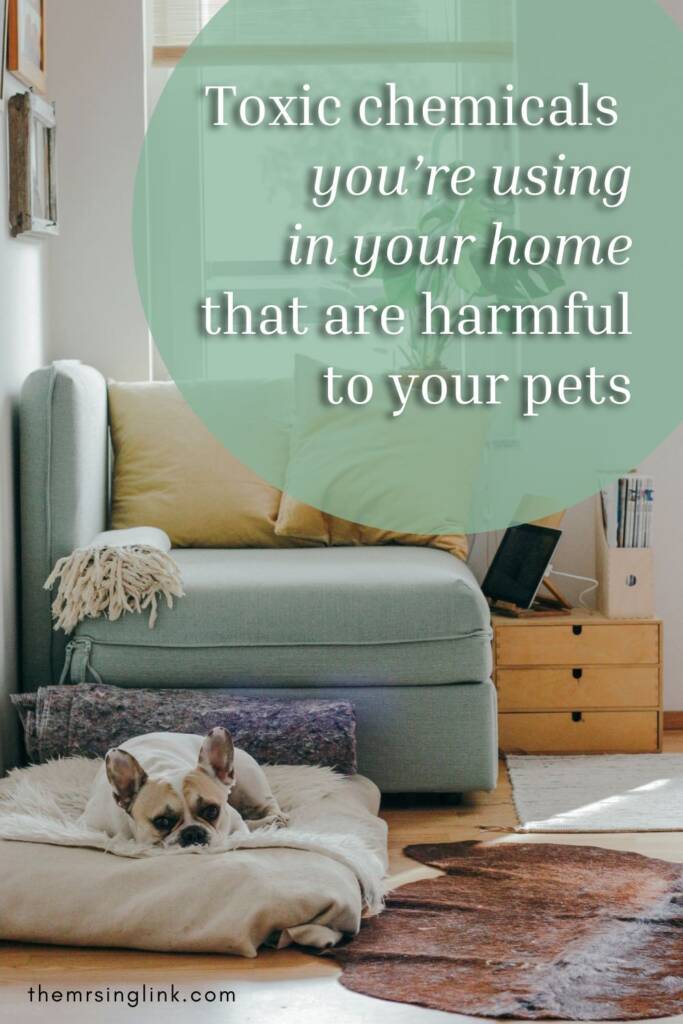 Toxic chemicals you're using in your home that are harmful to your pets | Like yesterday, please, full stop. This goes for if you love your cat, too! And I'm not talking about the number of [human] foods that are dangerous and gruesomely unhealthy to be feeding your dog (like grapes, onions, cooked bones, chocolate, etc. etc.), I'm talking about all the toxic chemicals in your home that are harmful to your pets. #toxicchemicals #dogmom #dogowner #toxiclifestyle | theMRSingLink