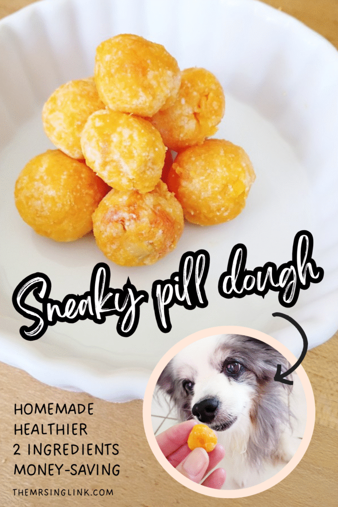 Homemade, healthier, 2-ingredient, money-saving pill hiding treat for dogs