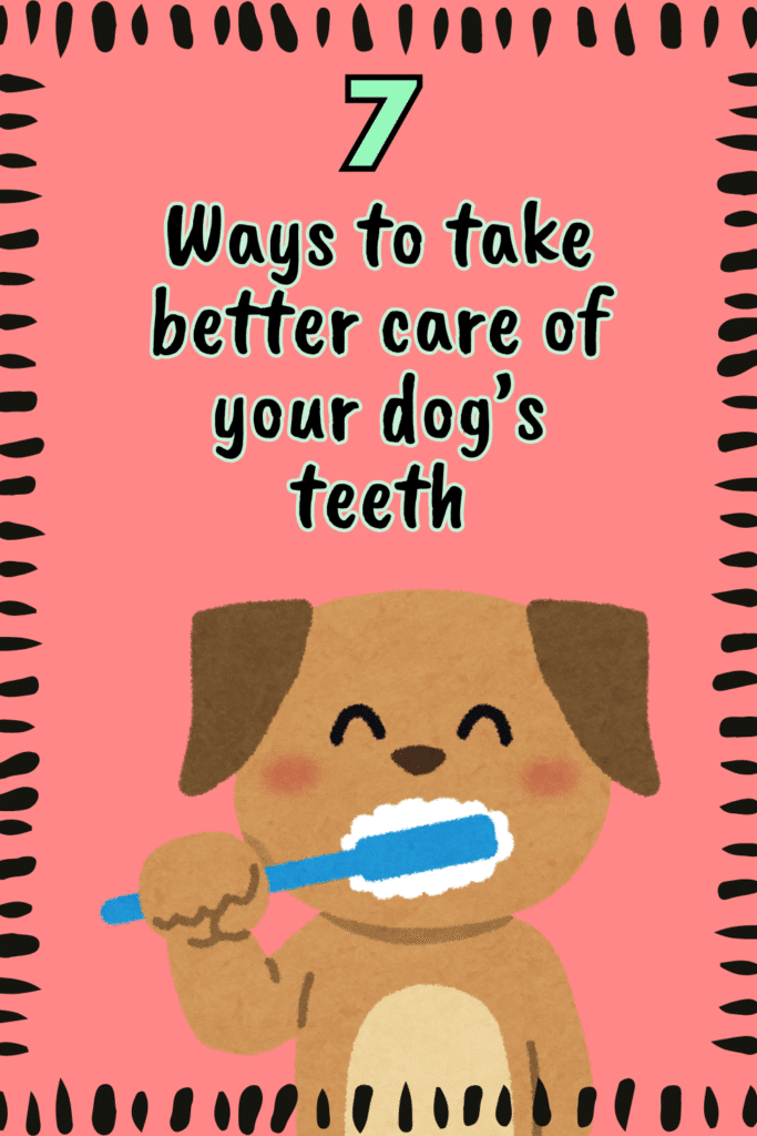 7 Ways to take care of your dog's teeth